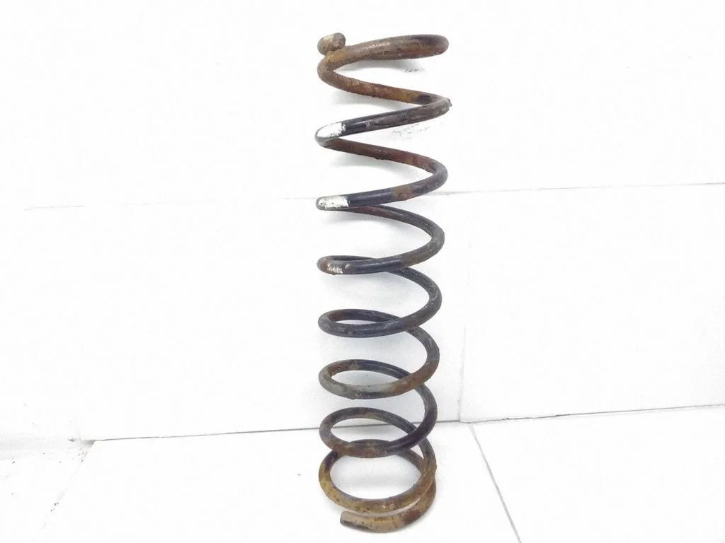 Rear coil spring