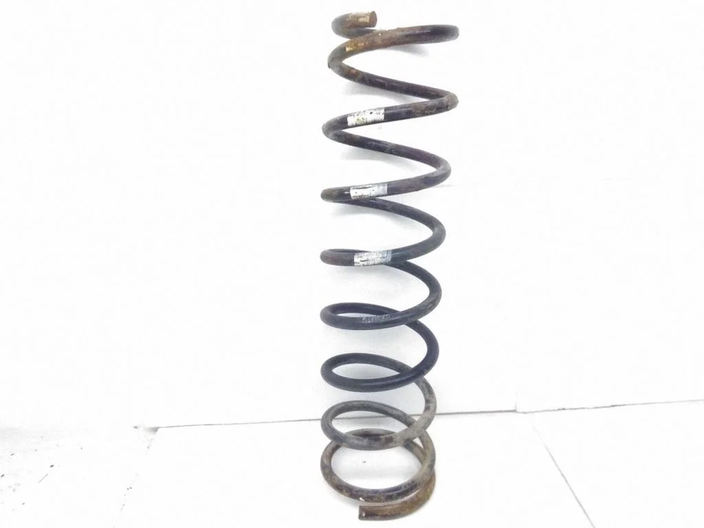 Rear coil spring