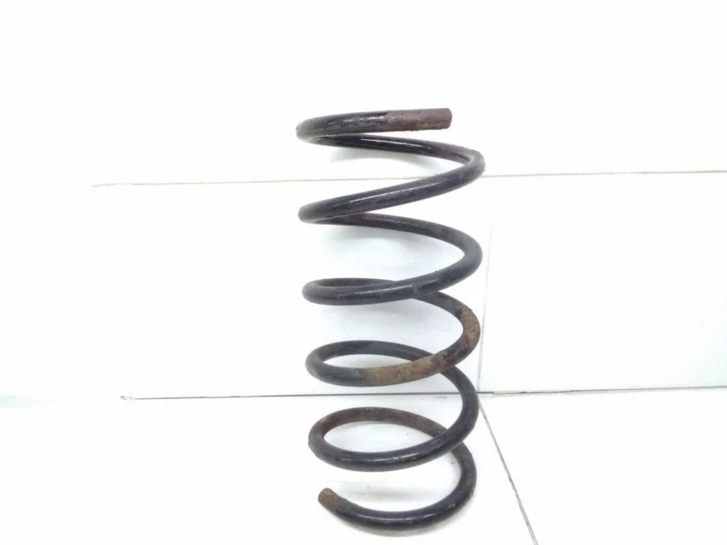 Rear coil spring