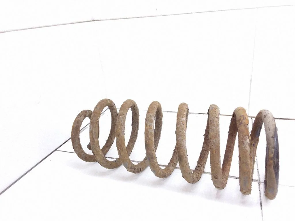 Rear coil spring