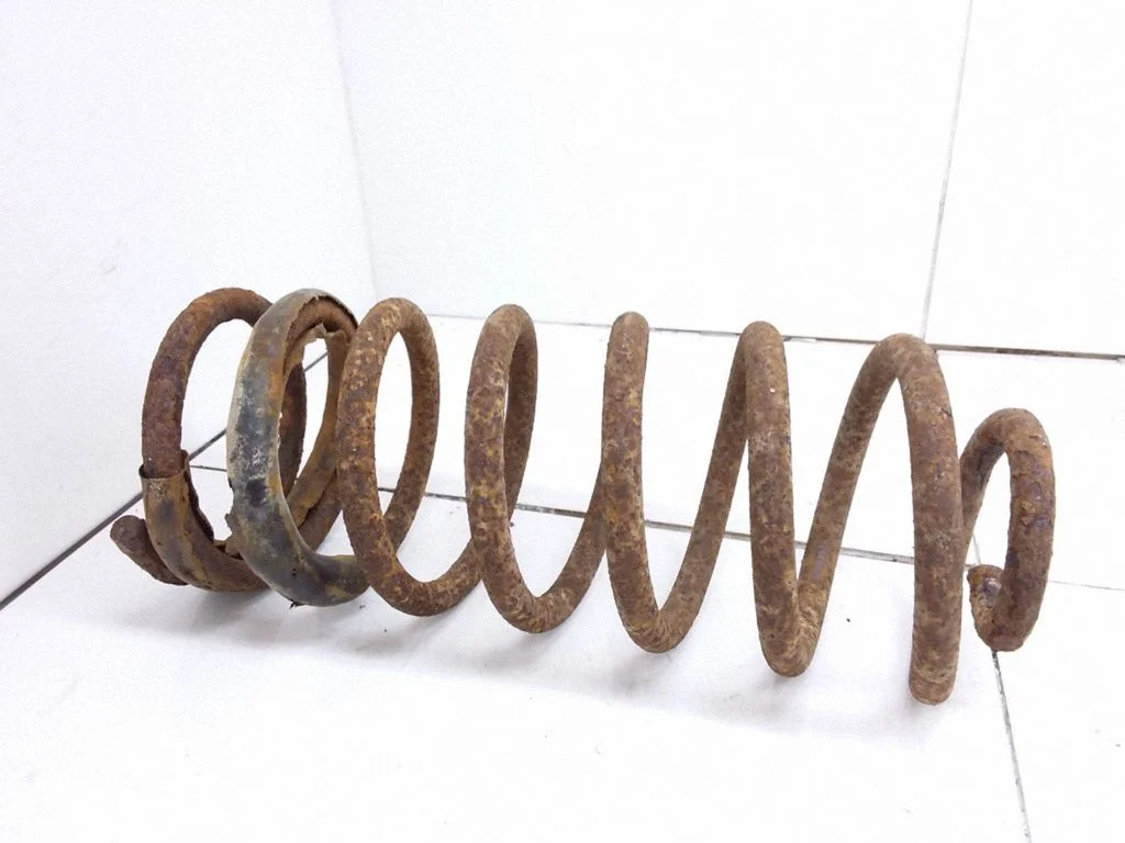 Rear coil spring
