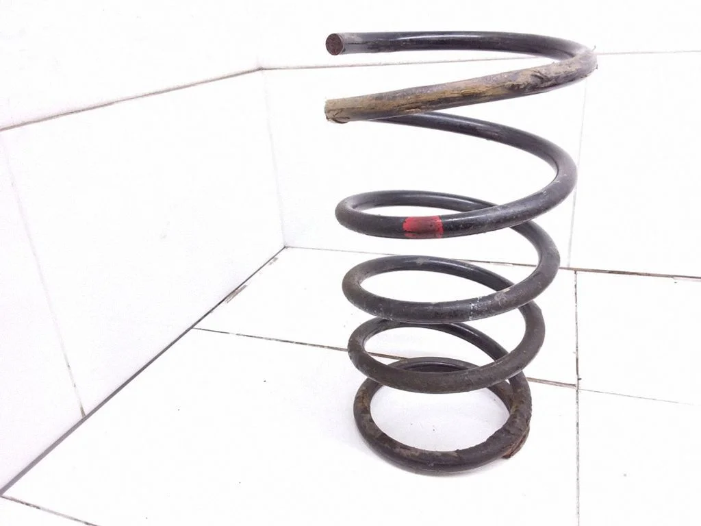 Rear coil spring
