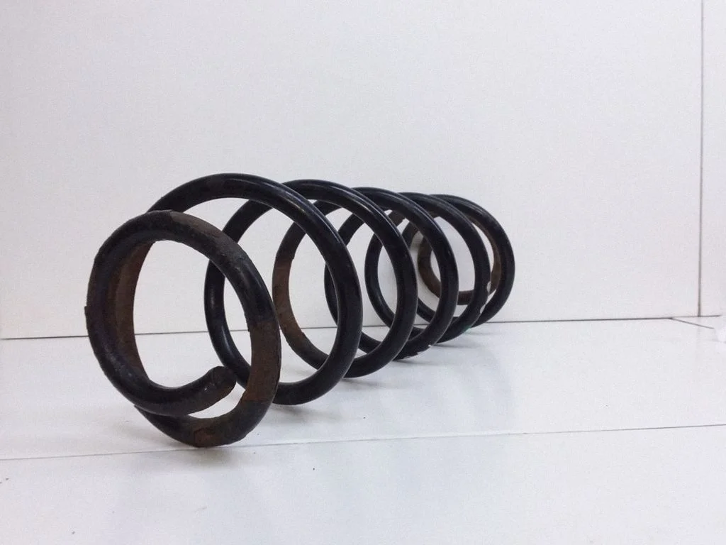 Rear coil spring
