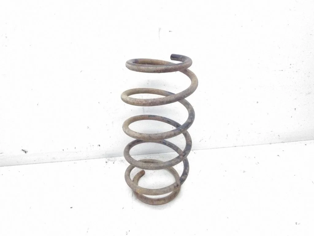 Rear coil spring
