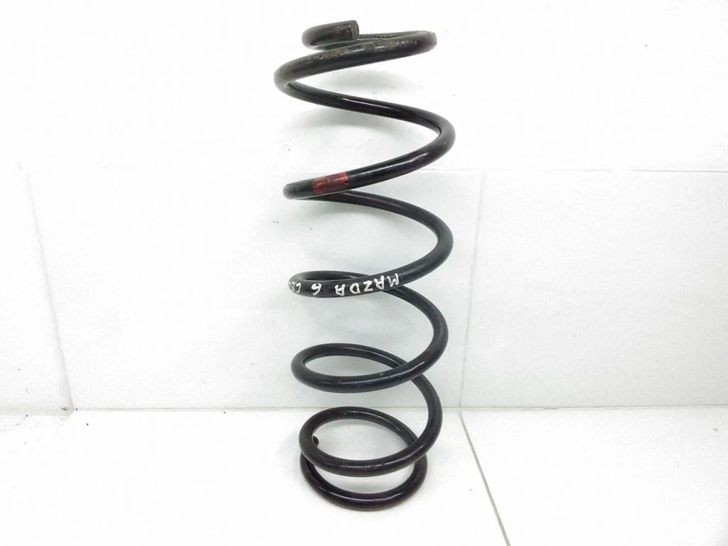 Rear coil spring