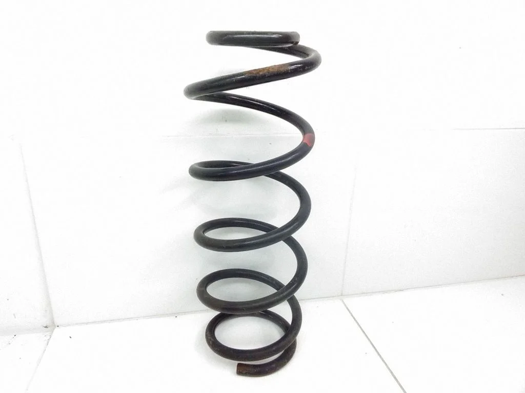 Rear coil spring