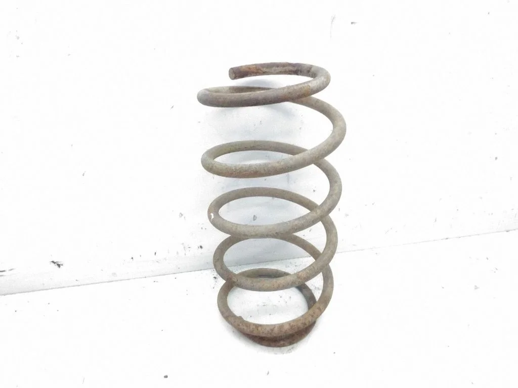 Rear coil spring