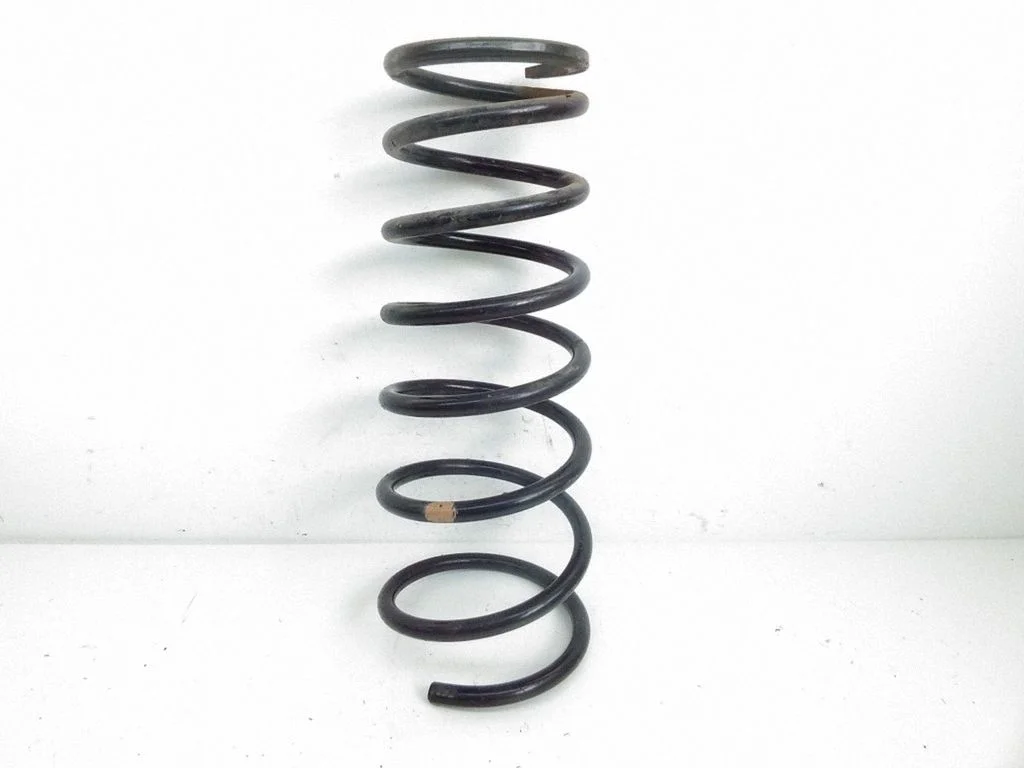 Rear coil spring