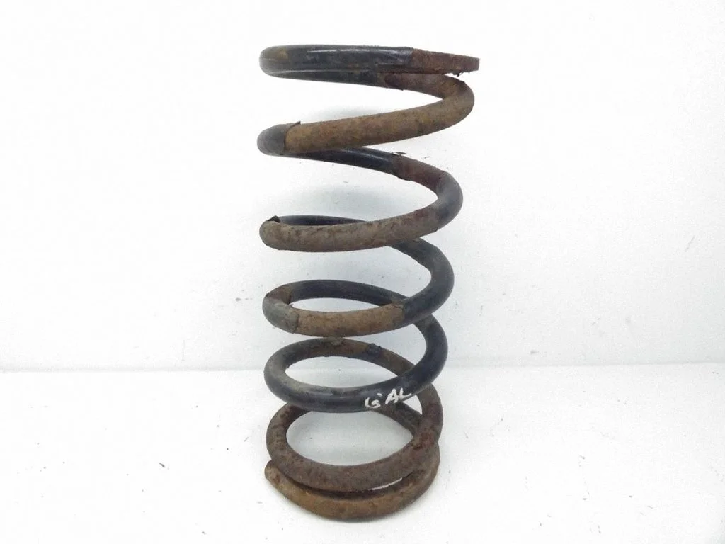Rear coil spring