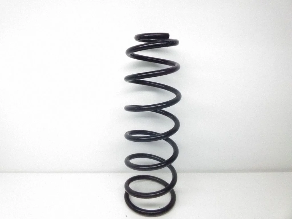 Rear coil spring