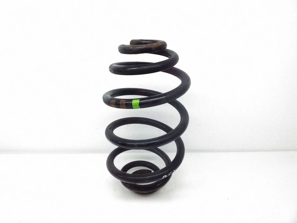 Rear coil spring