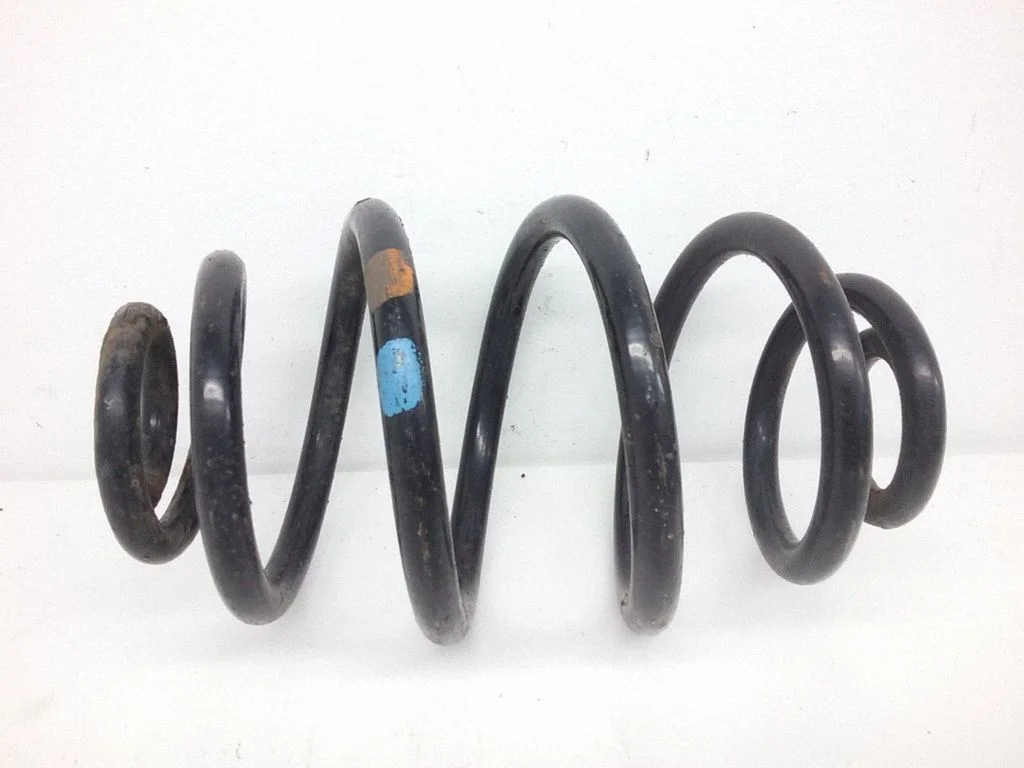 Rear coil spring