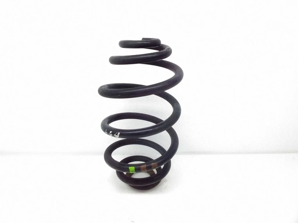 Rear coil spring