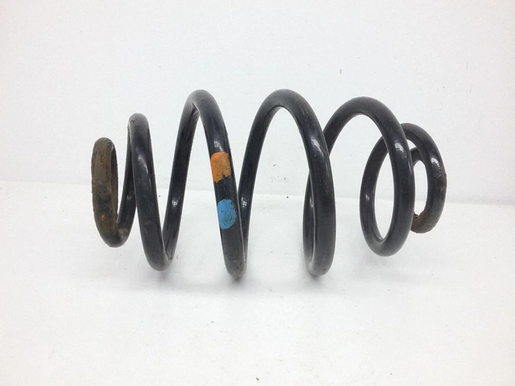 Rear coil spring