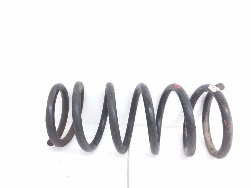 Rear coil spring