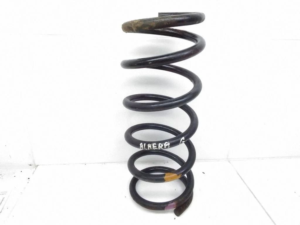 Rear coil spring