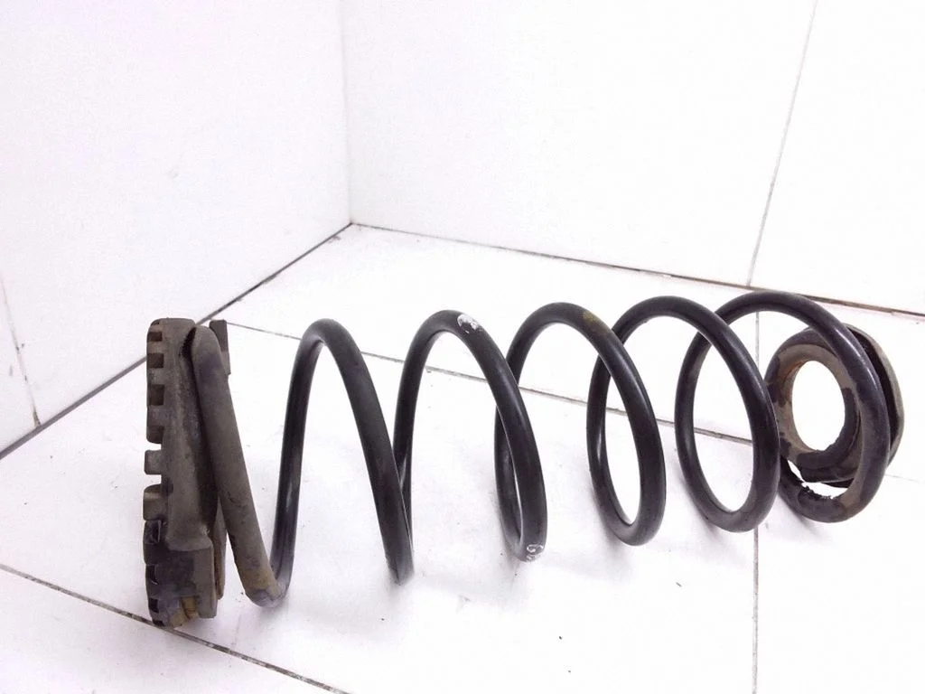 Rear coil spring