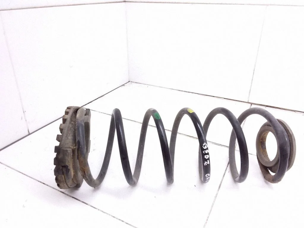 Rear coil spring