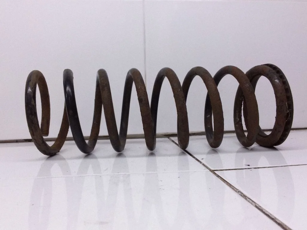Rear coil spring