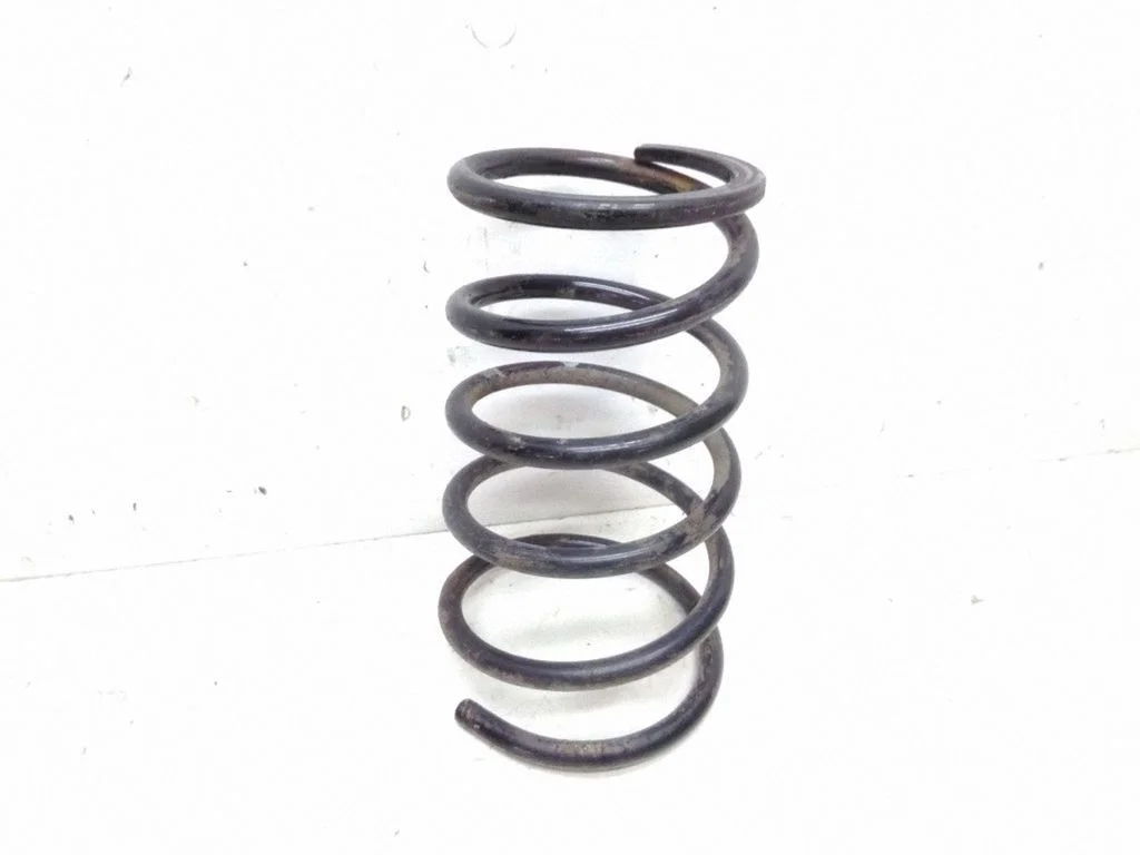 Rear coil spring