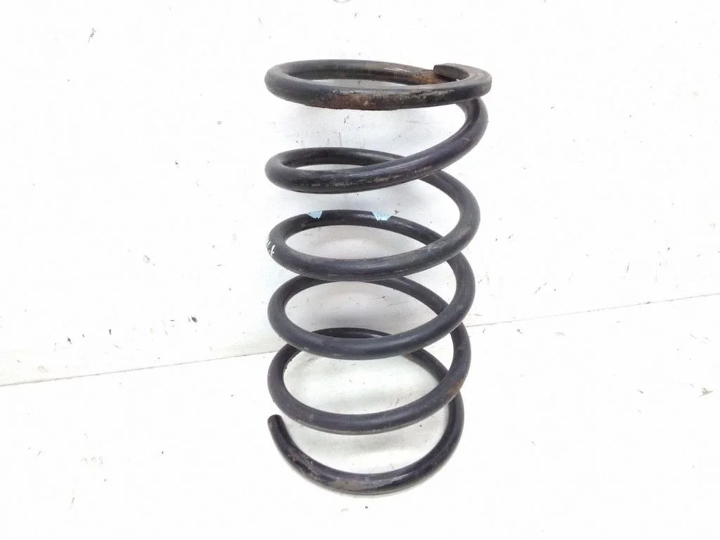 Rear coil spring