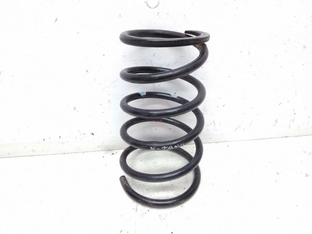 Rear coil spring