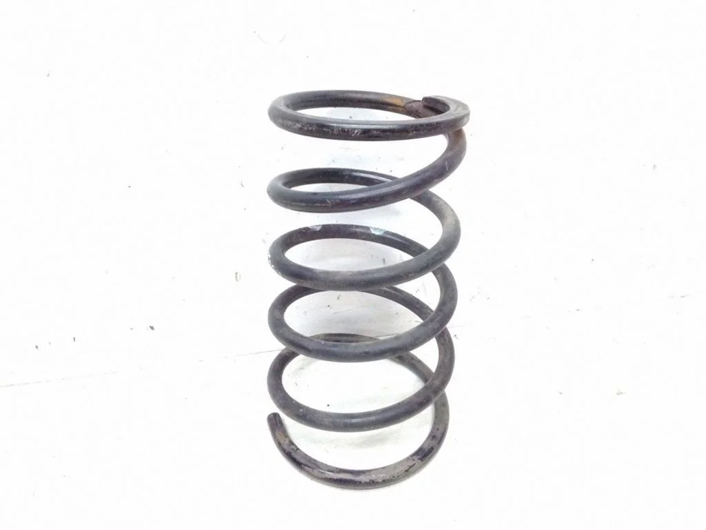 Rear coil spring