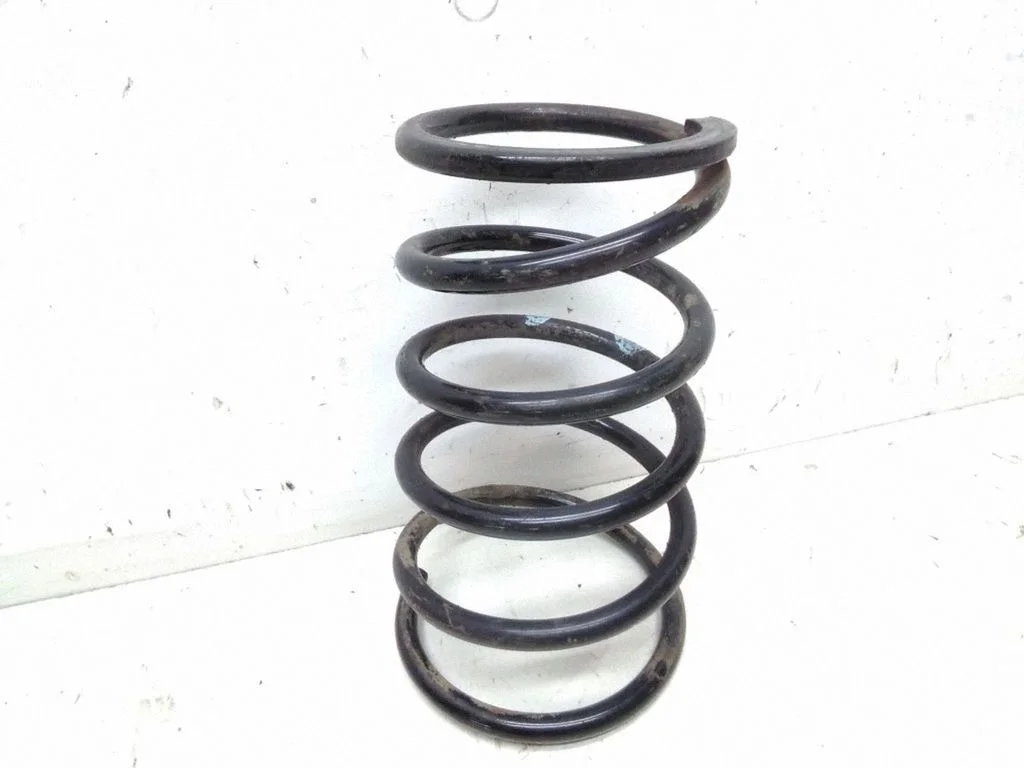 Rear coil spring