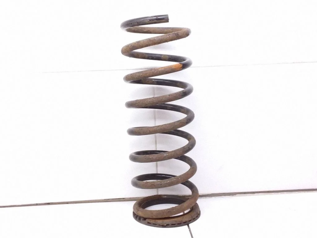 Rear coil spring