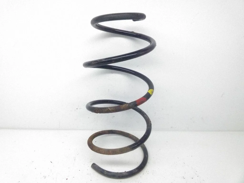 Rear coil spring