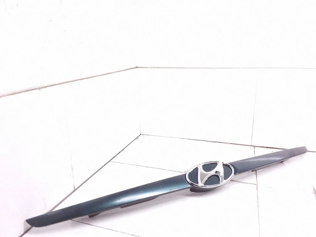 Front bumper upper radiator grill