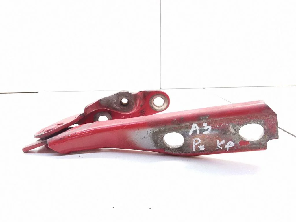 Motora pārsega eņģe (-es) 8L0823301B