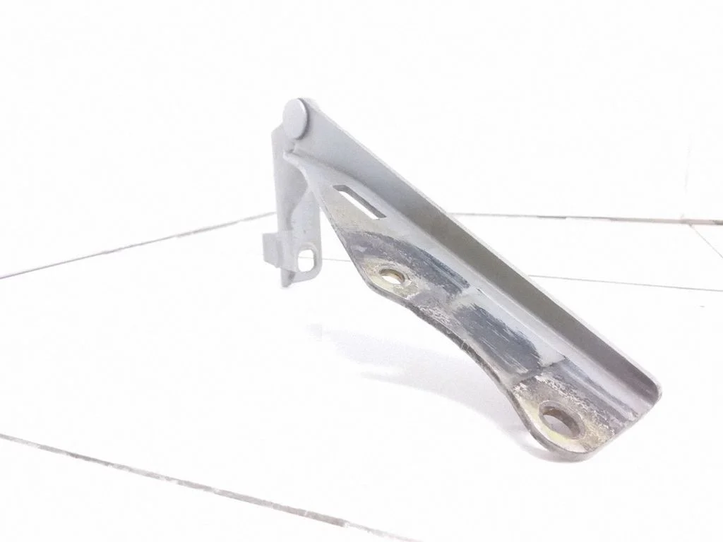 Engine bonnet/hood hinges 2F0LH