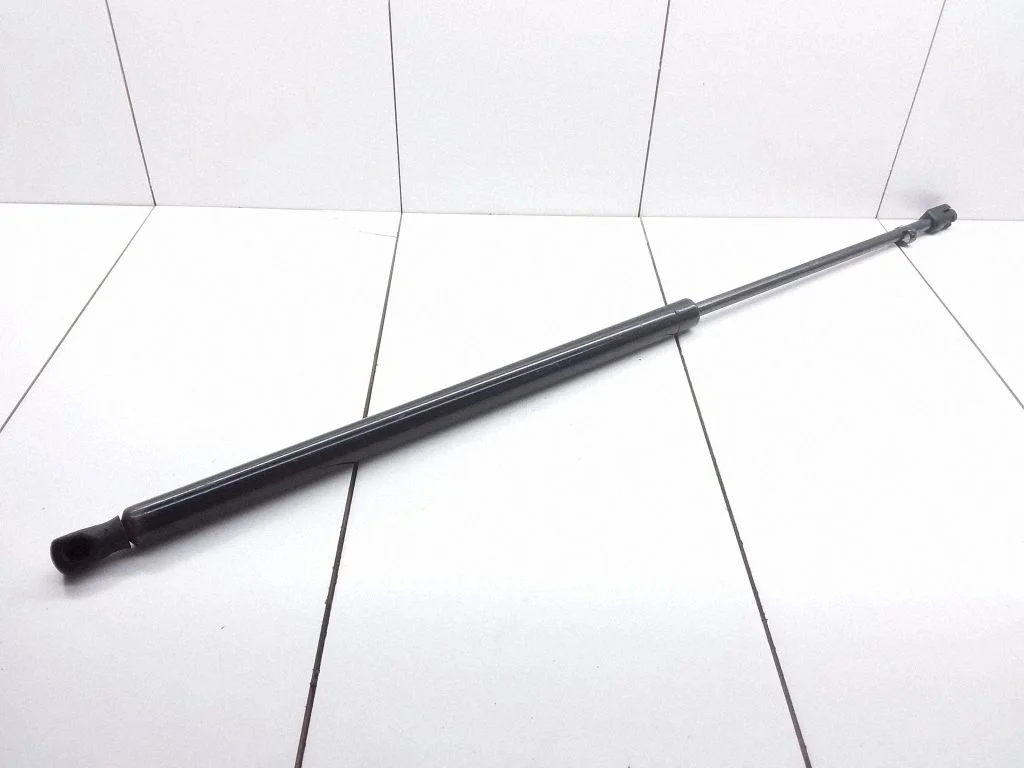 Tailgate/trunk strut/damper