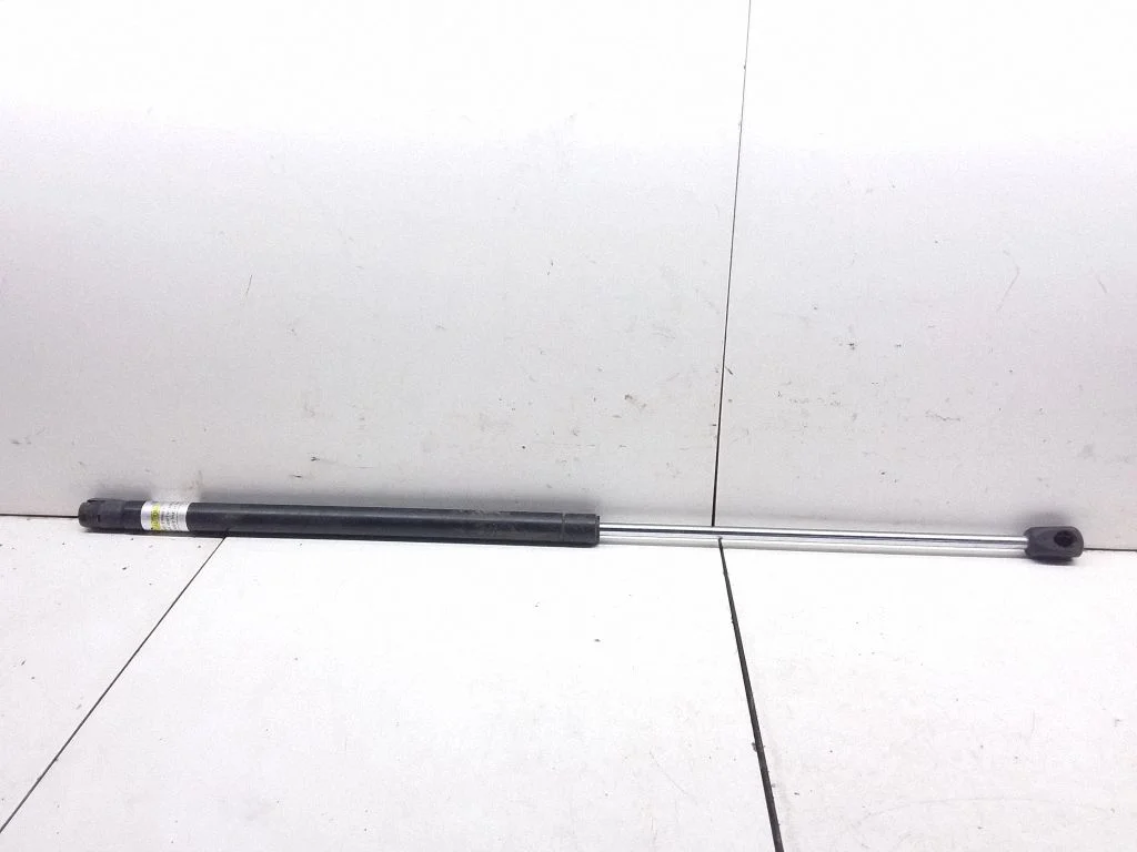 Tailgate/trunk strut/damper 1096344