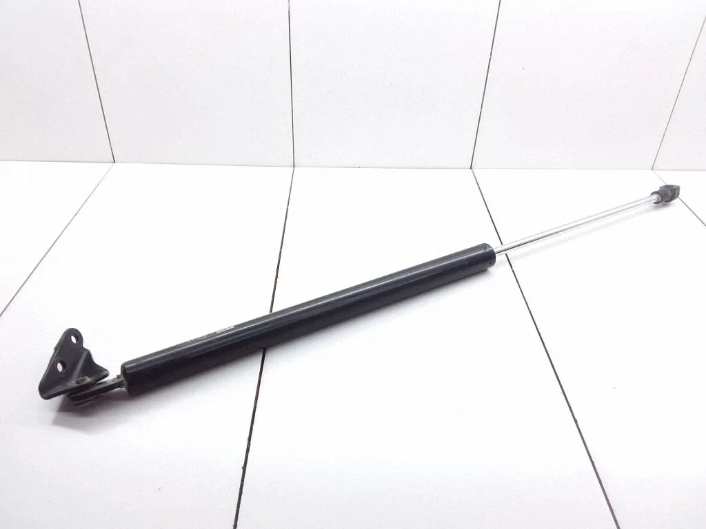 Tailgate/trunk strut/damper C17E18