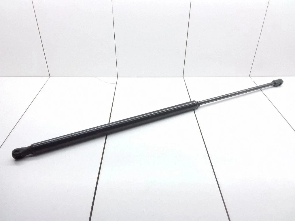 Tailgate/trunk strut/damper