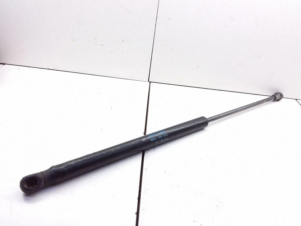 Tailgate/trunk strut/damper