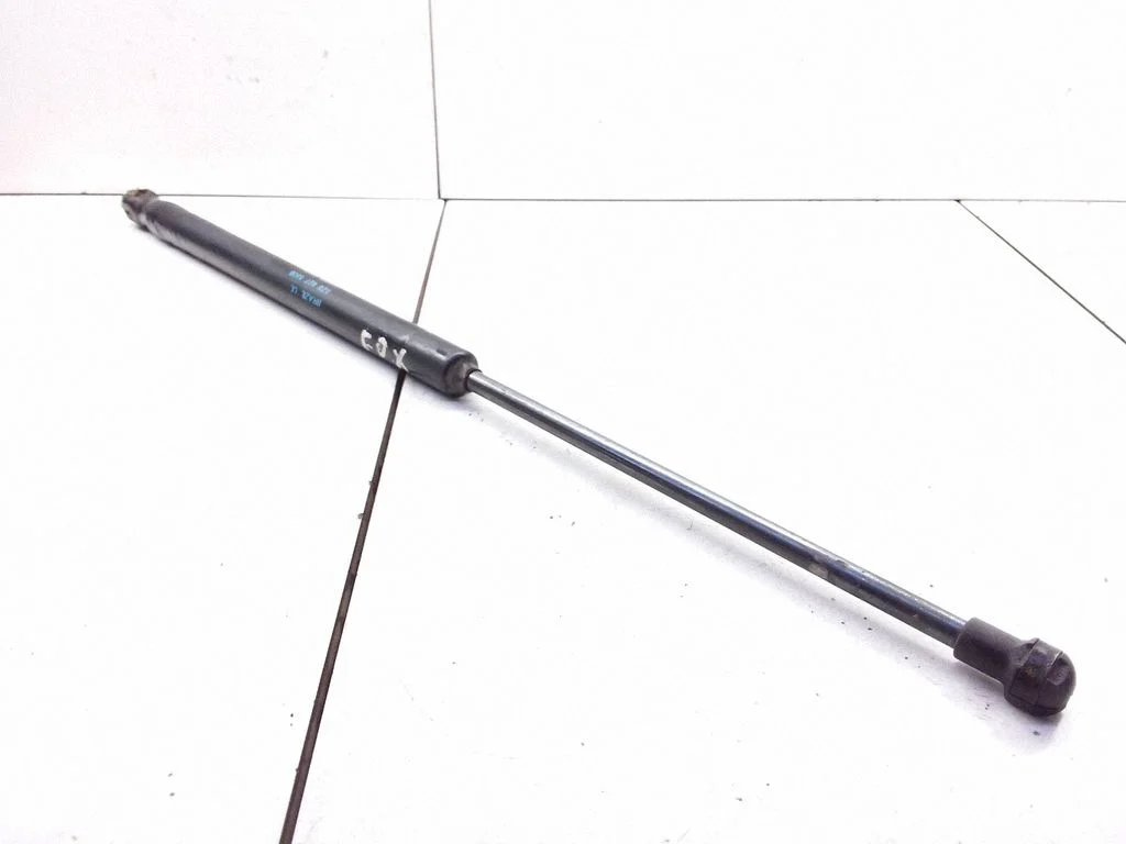 Tailgate/trunk strut/damper