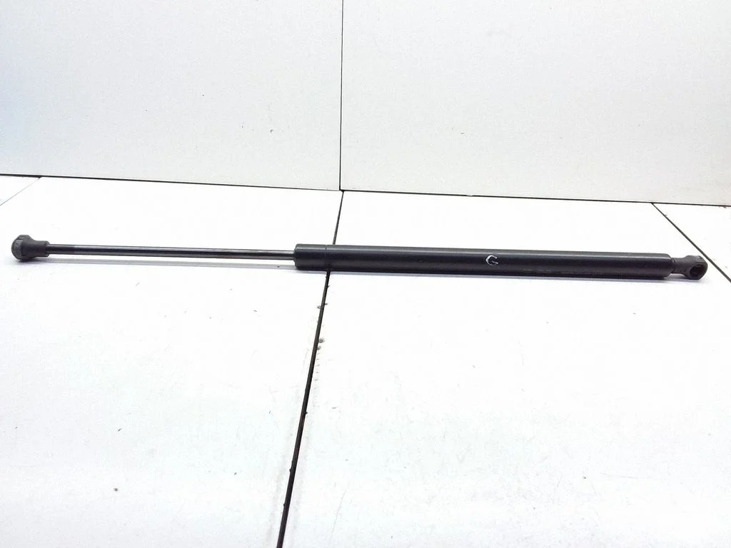 Tailgate/trunk strut/damper