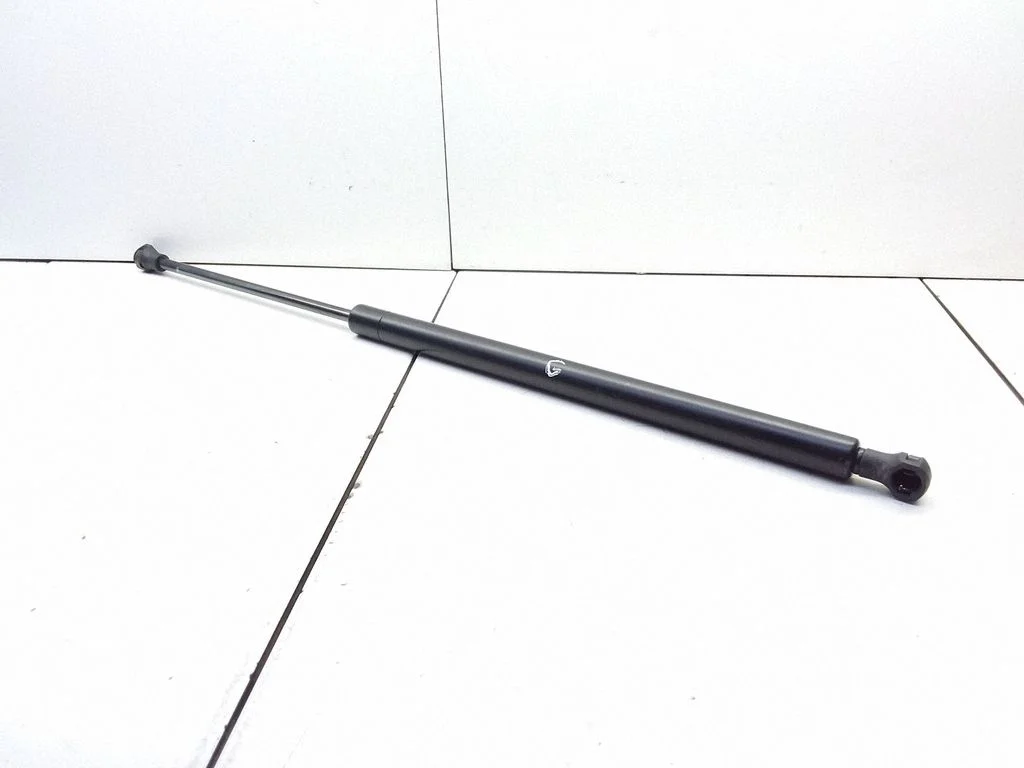 Tailgate/trunk strut/damper