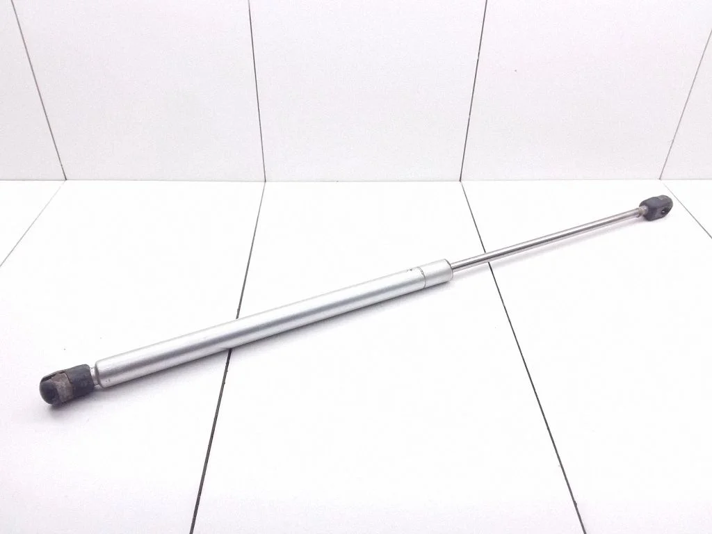 Tailgate/trunk strut/damper
