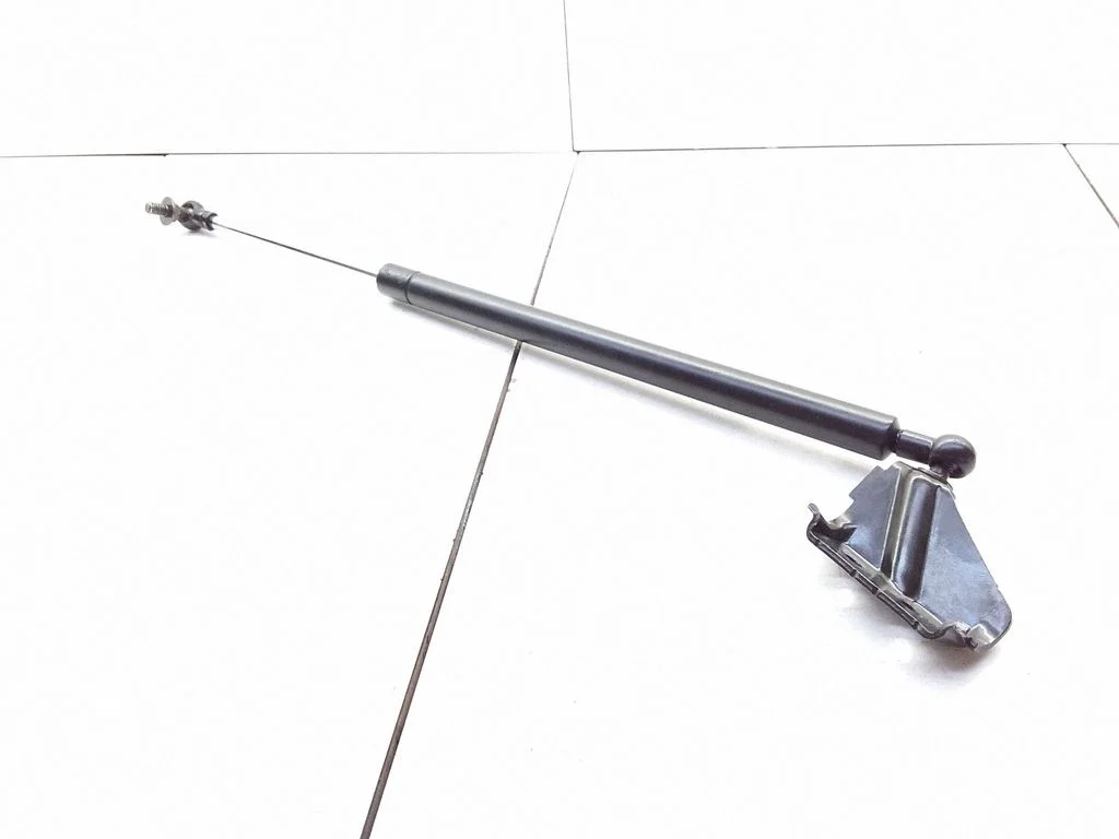Tailgate/trunk strut/damper