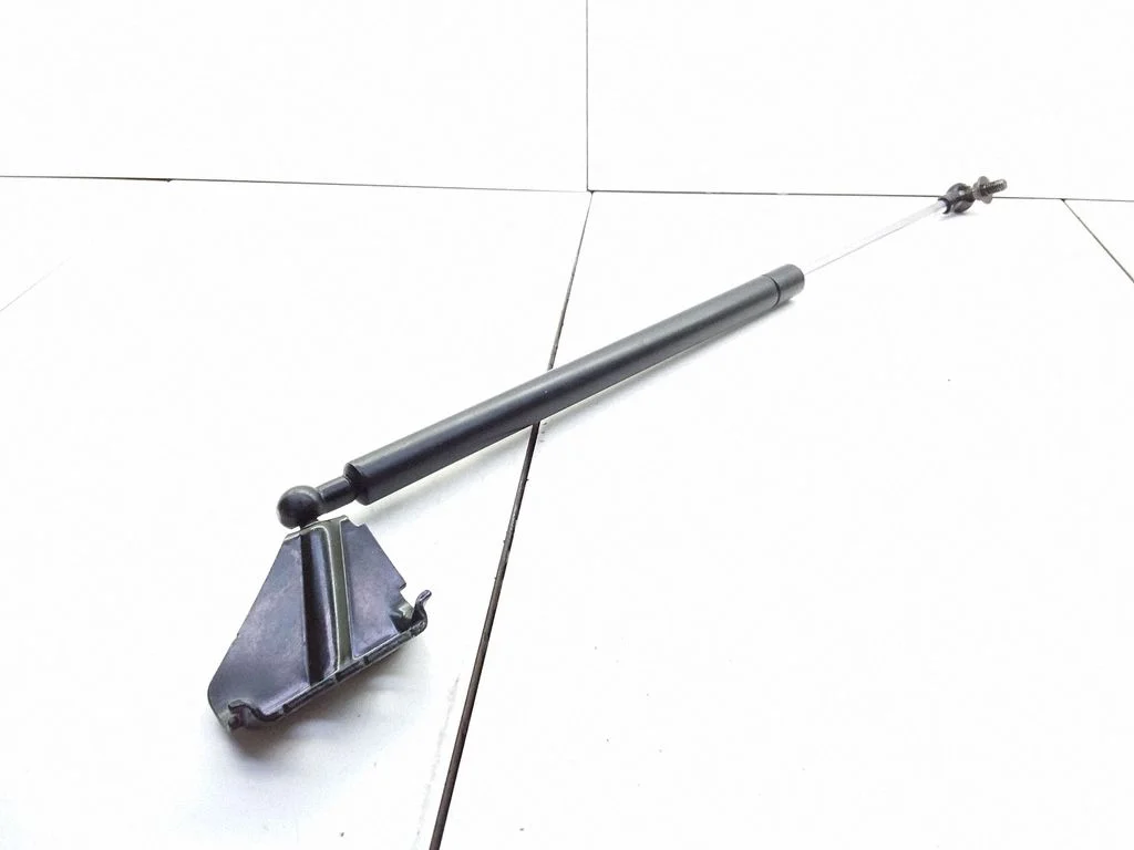Tailgate/trunk strut/damper