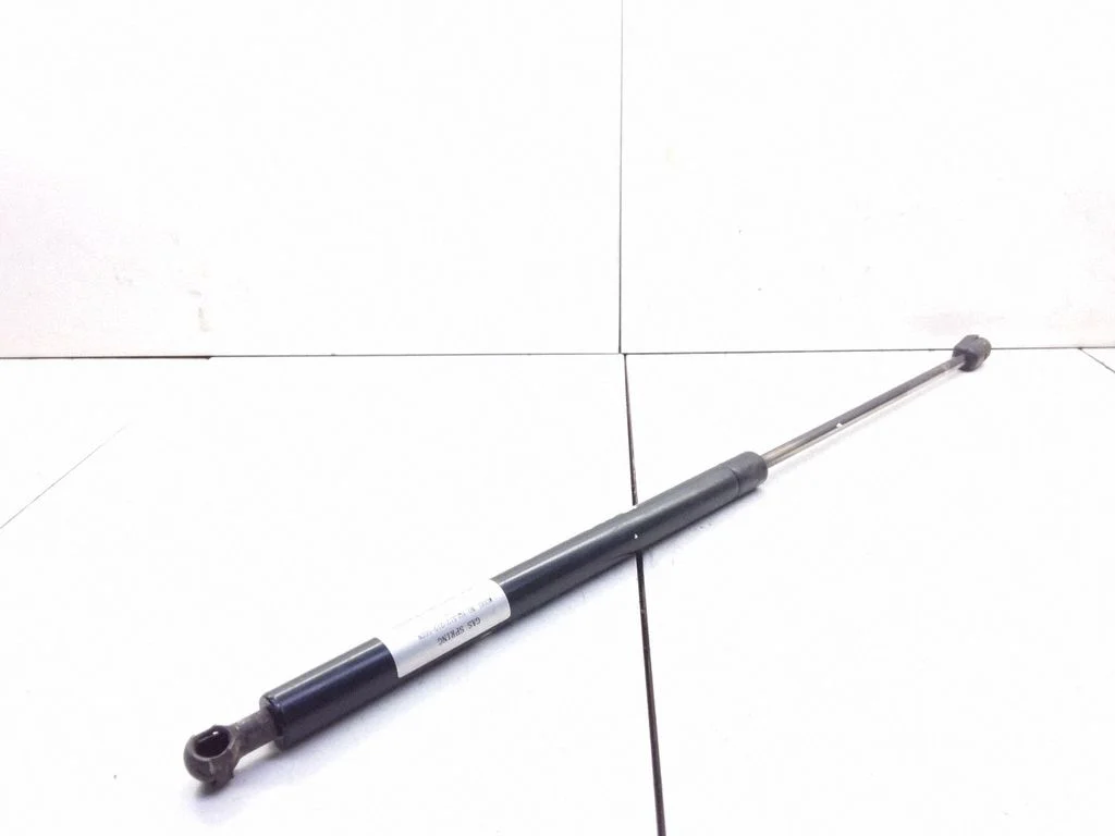Tailgate/trunk strut/damper