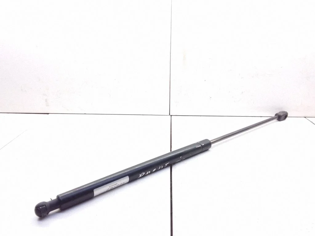 Tailgate/trunk strut/damper