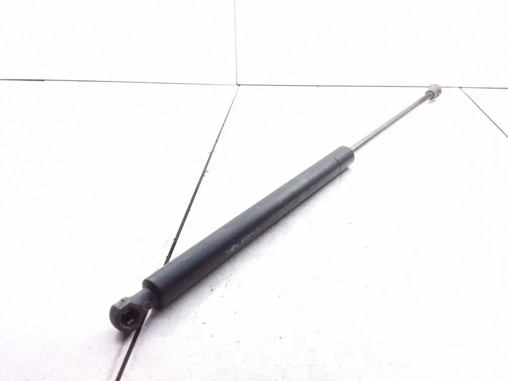 Tailgate/trunk strut/damper 7700418621