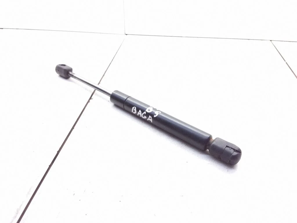Tailgate/trunk strut/damper