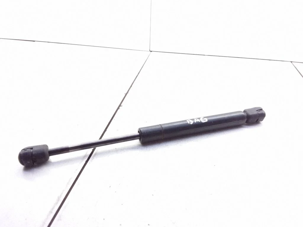 Tailgate/trunk strut/damper