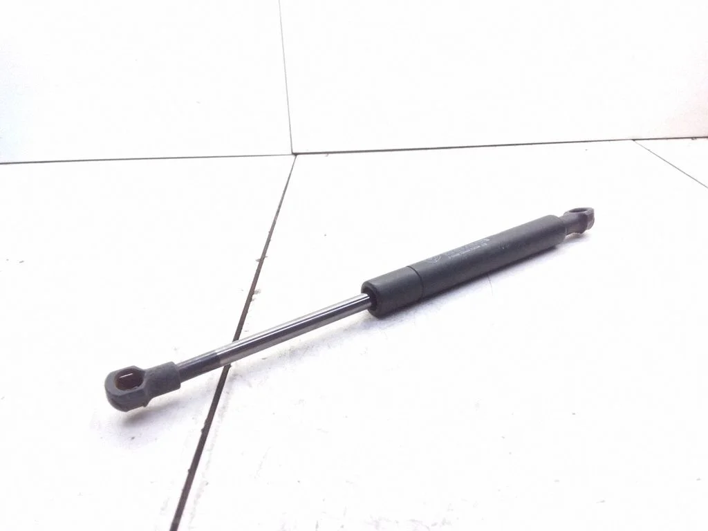Aizmugurējā vāka amortizators 60651067